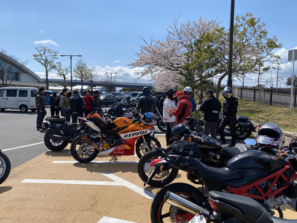 琵琶湖の海津大崎の桜満開ツーリング その3