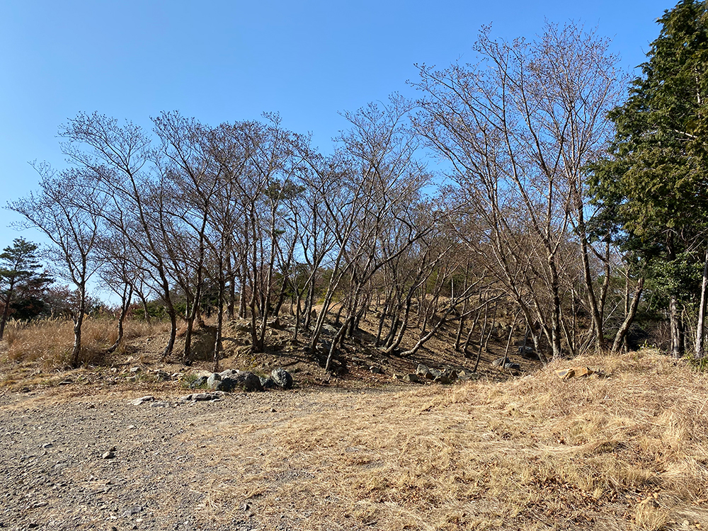 湯浅トライアルパークに行ってきた その11