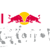 Results Red Bull Erzbergrodeo 2022
