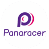 Amazon | パナレーサー(Panaracer) 自転車 空気入れ 携帯ポンプ 全バルブ対応 ボール/